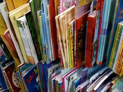 Summer Literacy Program Launches